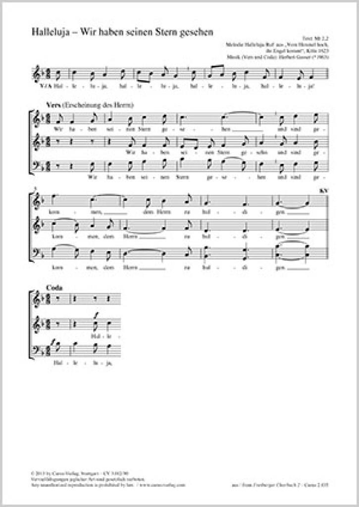 Halleluja - Wir haben seinen Stern gesehen